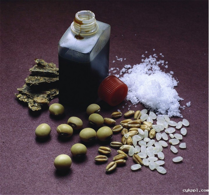 商业摄影：日本食物群像