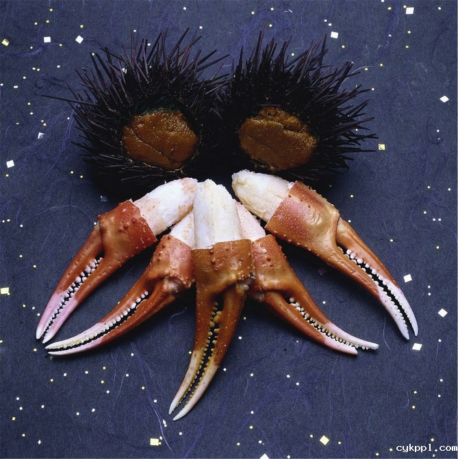 商业摄影：日本食物群像