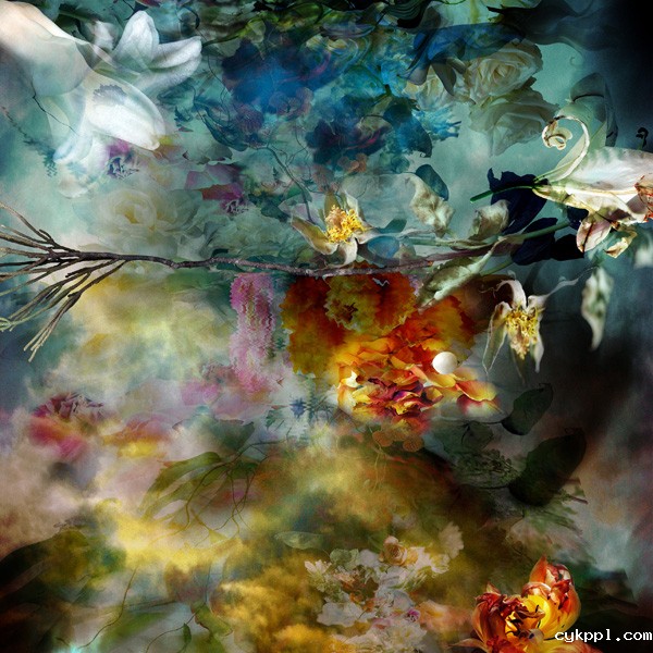 撩人眼 另类花卉摄影欣赏