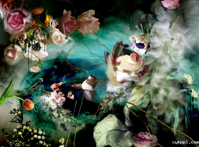 撩人眼 另类花卉摄影欣赏