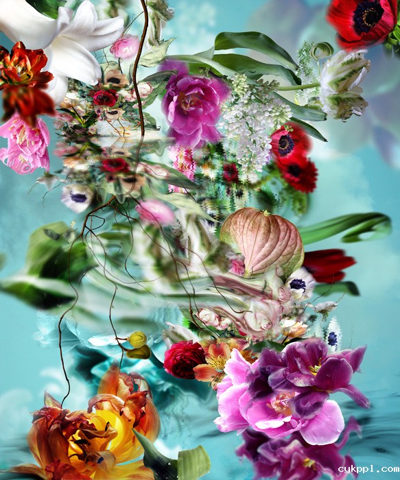 撩人眼 另类花卉摄影欣赏