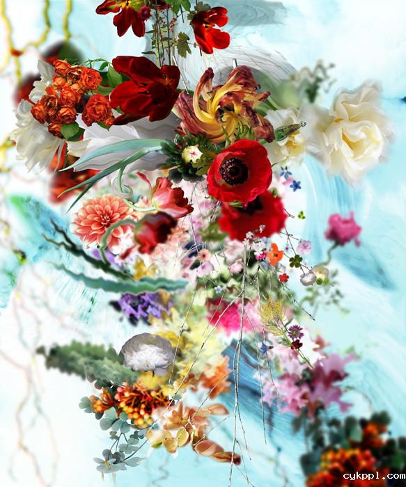 撩人眼 另类花卉摄影欣赏