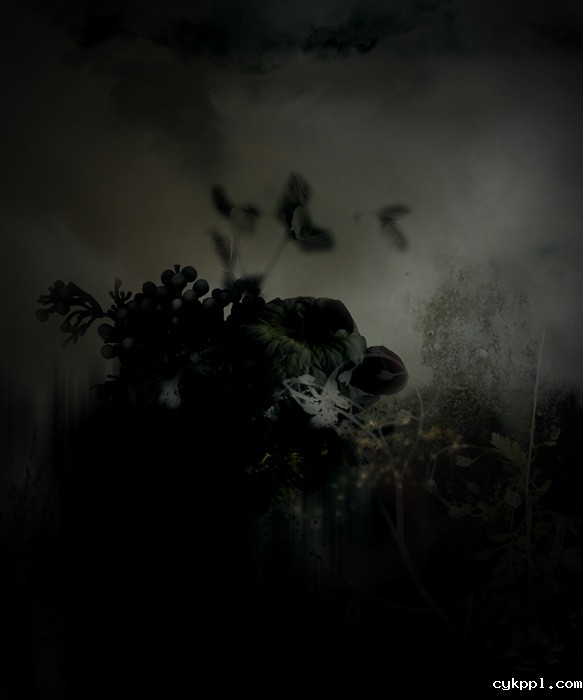 撩人眼 另类花卉摄影欣赏