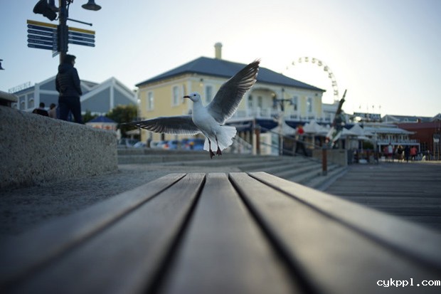 蔡司正式发布Loxia 35/2、50/2全画幅手动无反镜头