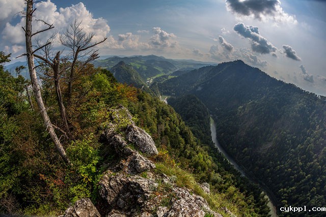 Samyang发布12mm f/2.8 ED AS NCS全画幅鱼眼镜头