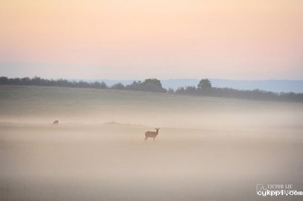 雾天风光摄影的构图与对焦
