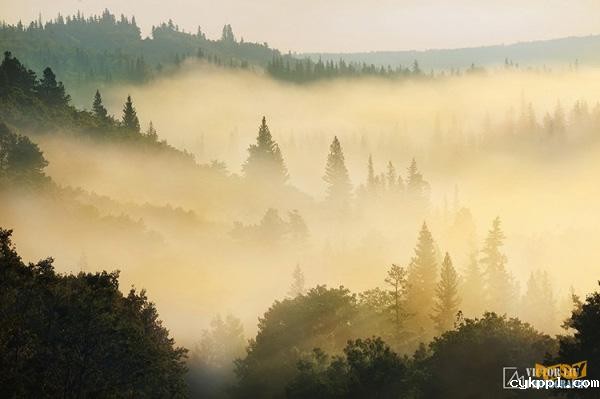 雾天风光摄影的构图与对焦