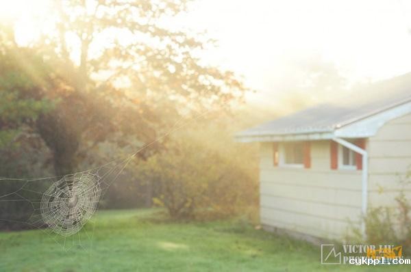 雾天风光摄影的构图与对焦