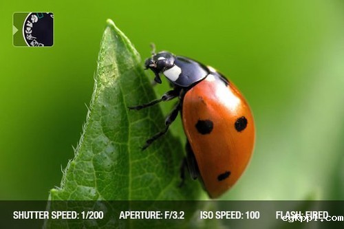 从零开始学摄影 曝光模式用法实战详解 从零开始学摄影 曝光模式用法实战详解