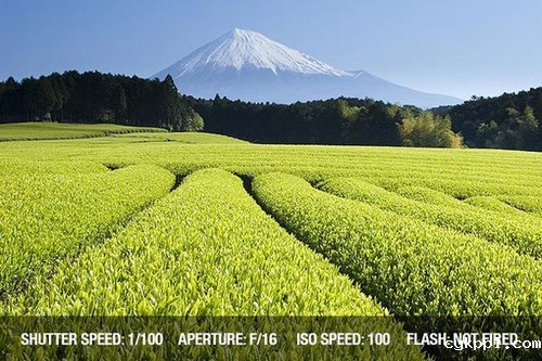 从零开始学摄影 曝光模式用法实战详解