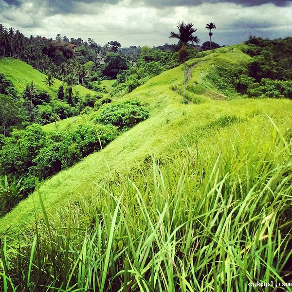 9个手机摄影技巧，助你个人魅力快速飙升