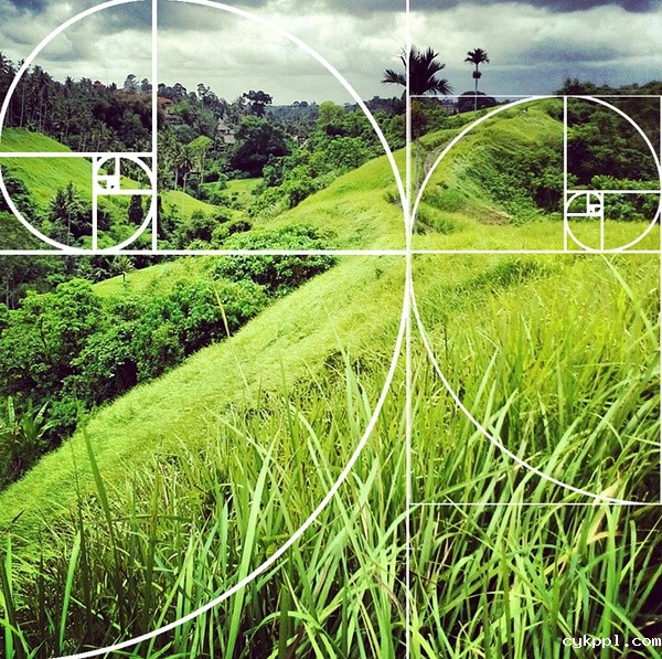 9个手机摄影技巧，助你个人魅力快速飙升