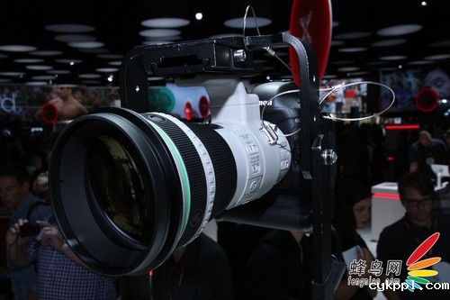 顶级绿圈新镜 佳能400mm DO IS II试用 顶级绿圈新镜 佳能400mm DO IS II试用