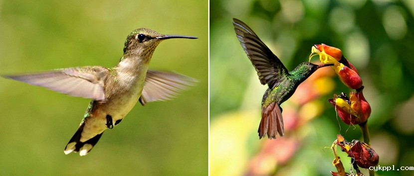 别害怕!ISO该推高时就推高