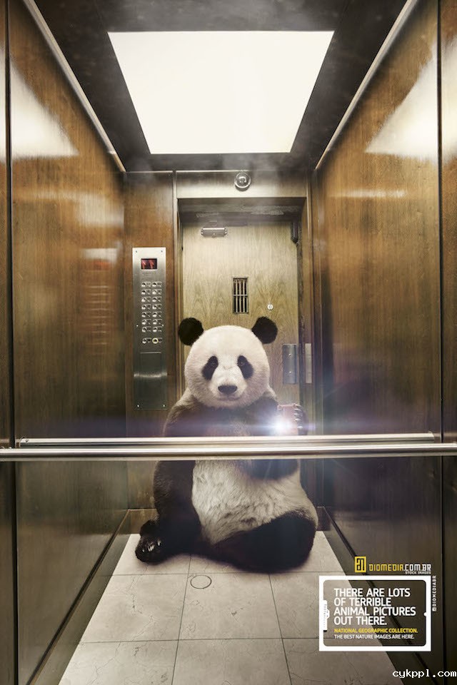 你的自拍弱爆了？来看看牛人们都是怎么玩儿的吧！