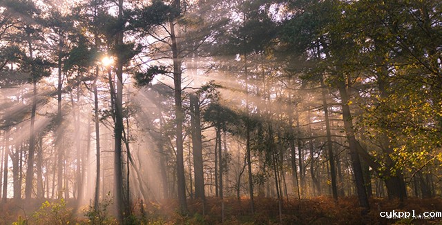 摄影教程：资深风光摄影师的10个建议