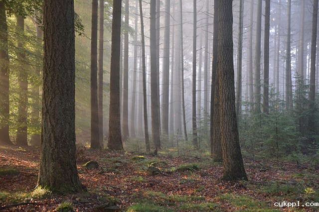 摄影教程：资深风光摄影师的10个建议