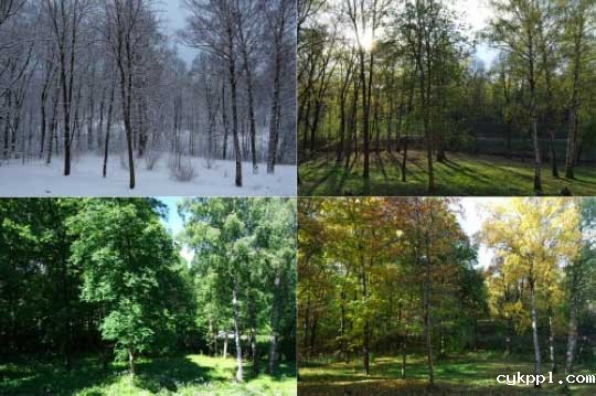 不知道拍什么?认识32个摄影方式