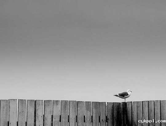 不知道拍什么?认识32个摄影方式