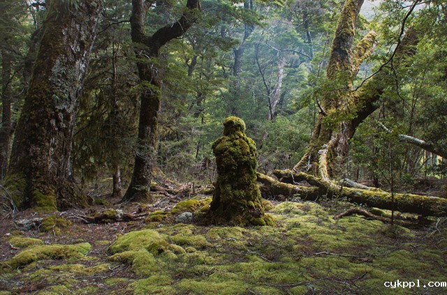 概念摄影：细线
