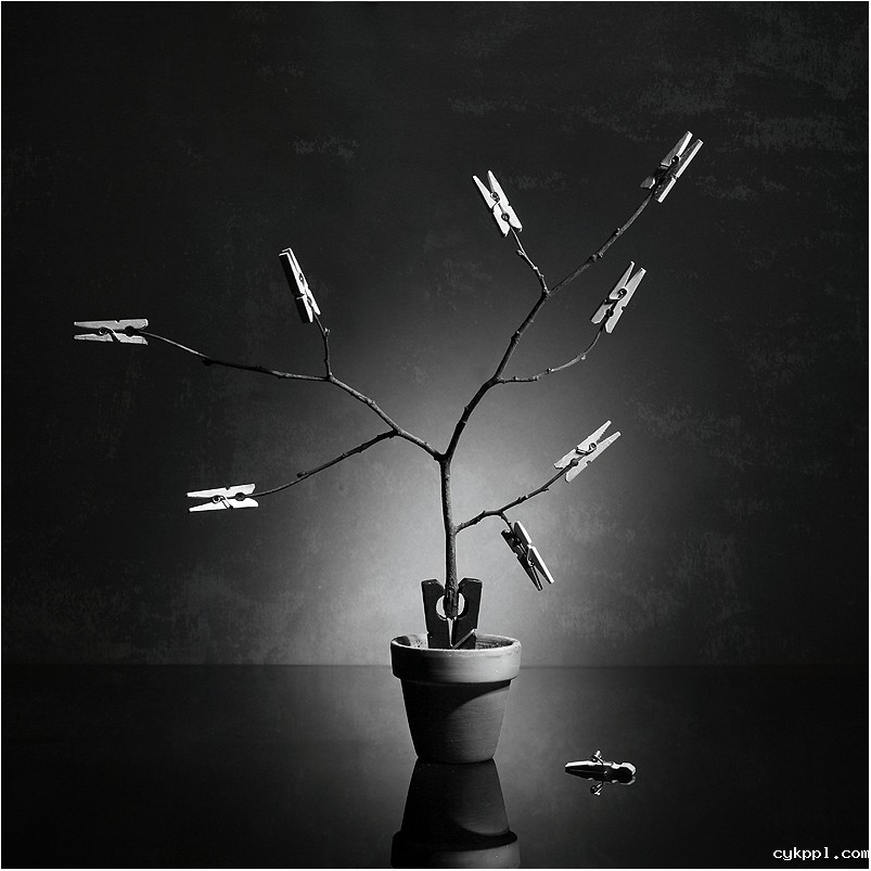 观念创意小品故事集