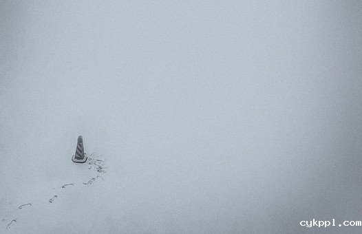 如何在雾霾天拍出好照片