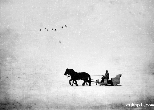 六大独家建议 教你你如何提高手机摄影质量 提高手机摄影质量 6个建议告诉您