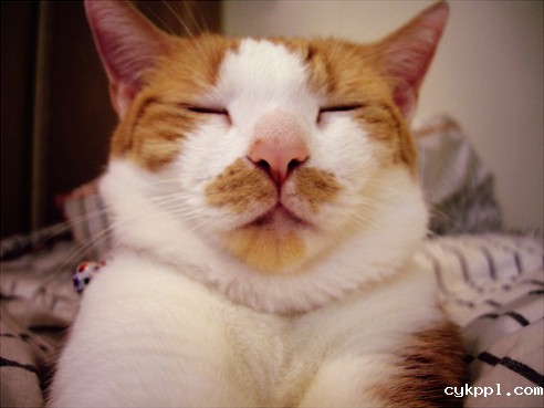 职业模特秘籍:如何让准新娘更上镜