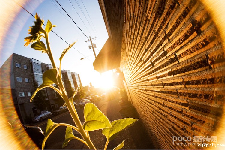 小镜头大创意 Lensbaby镜头的六种玩法