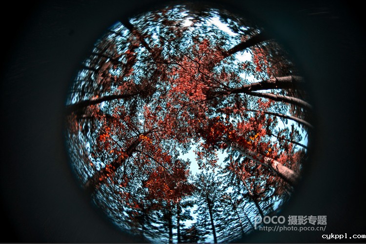 小镜头大创意 Lensbaby镜头的六种玩法