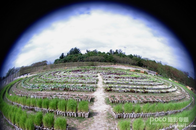 小镜头大创意 Lensbaby镜头的六种玩法