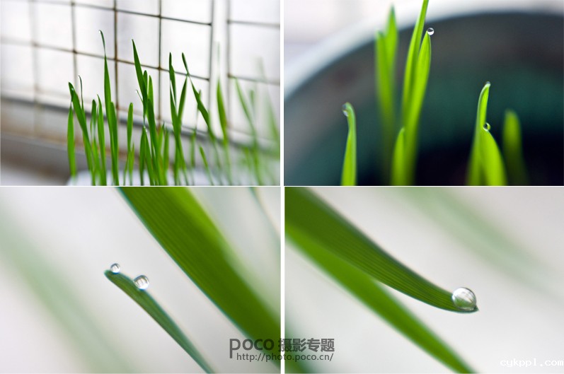 小镜头大创意 Lensbaby镜头的六种玩法