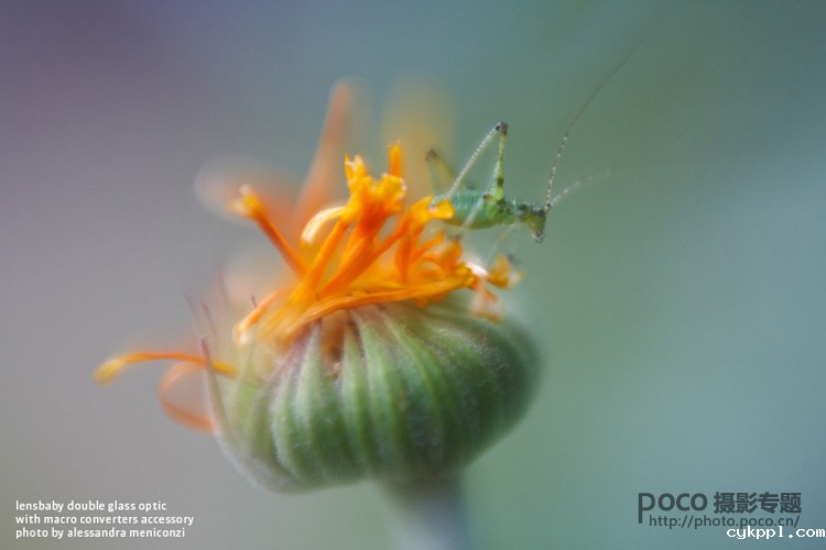 小镜头大创意 Lensbaby镜头的六种玩法