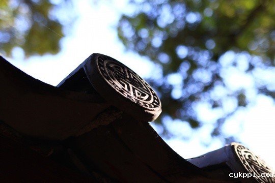 全方位的进化 佳能EOS 7D Mark II测评