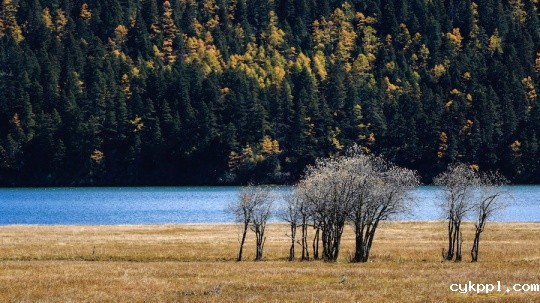 全方位的进化 佳能EOS 7D Mark II测评