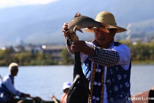 全方位的进化 佳能EOS 7D Mark II测评