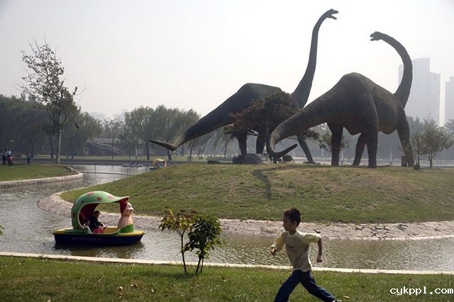 『纪实摄影』Scott Brauer：中国动物园