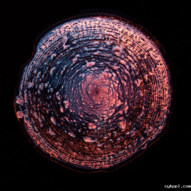 『创意摄影』威士忌里的“星际风光”