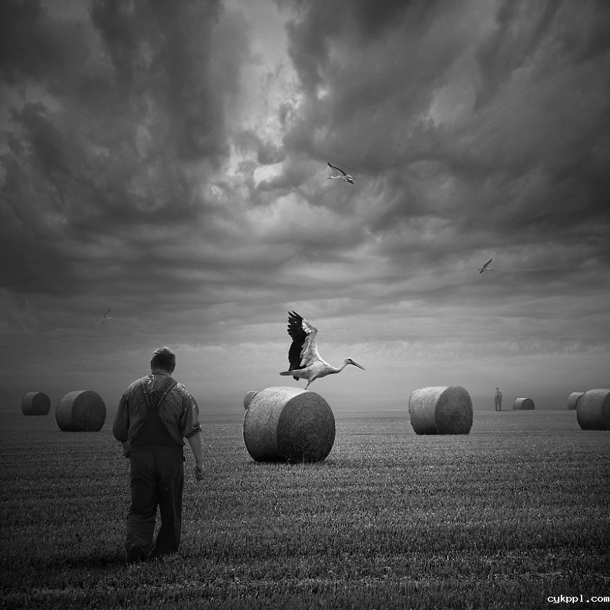 Tomasz Zaczeniuk：超现实主义动物摄影