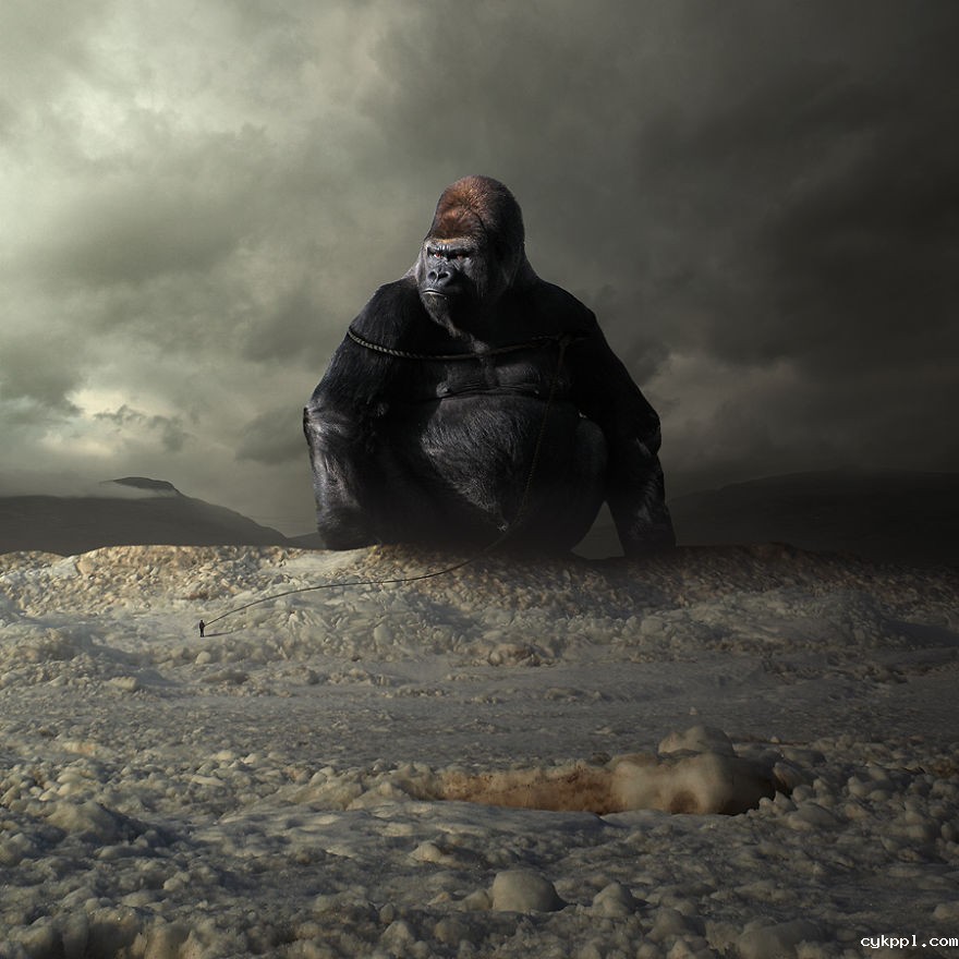 Tomasz Zaczeniuk：超现实主义动物摄影