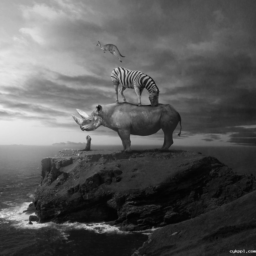 Tomasz Zaczeniuk：超现实主义动物摄影