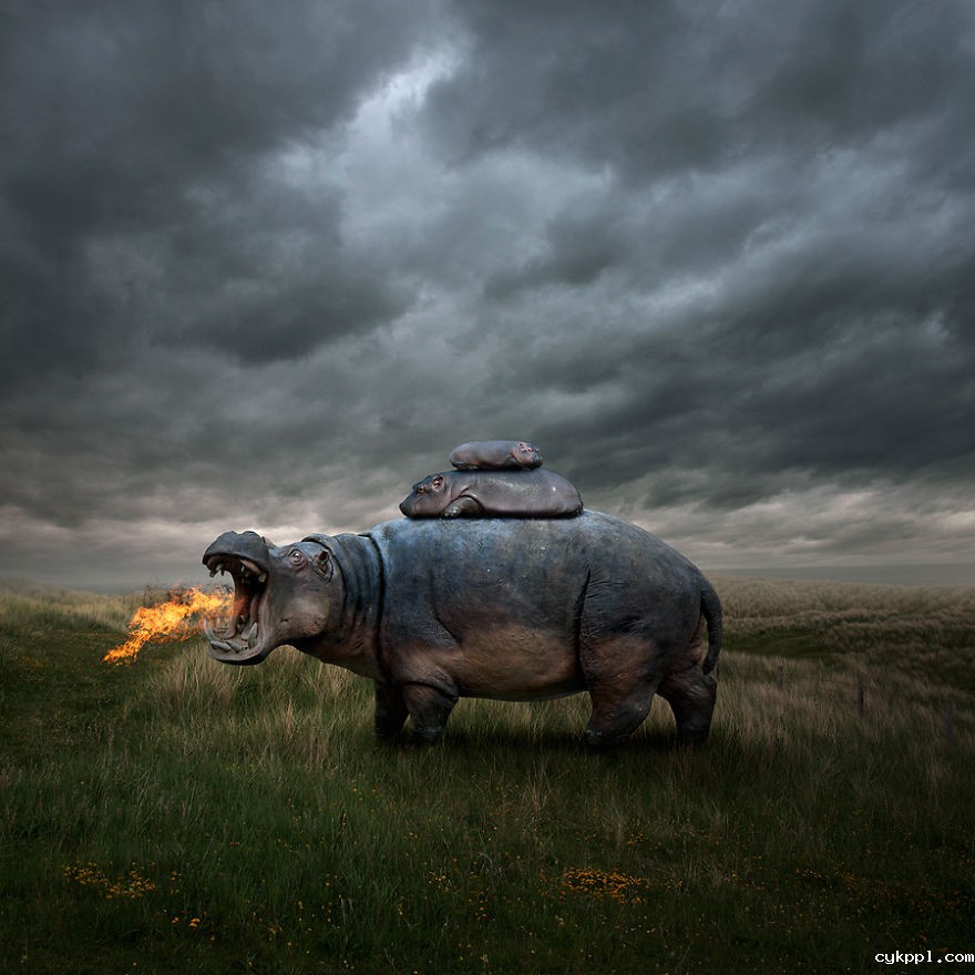 Tomasz Zaczeniuk：超现实主义动物摄影