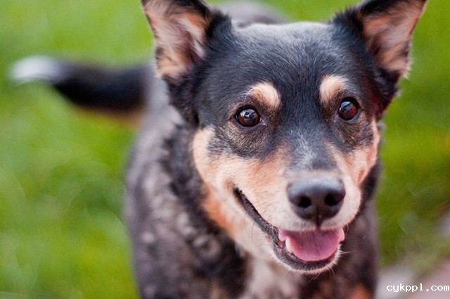 10个改善构图的简单技巧