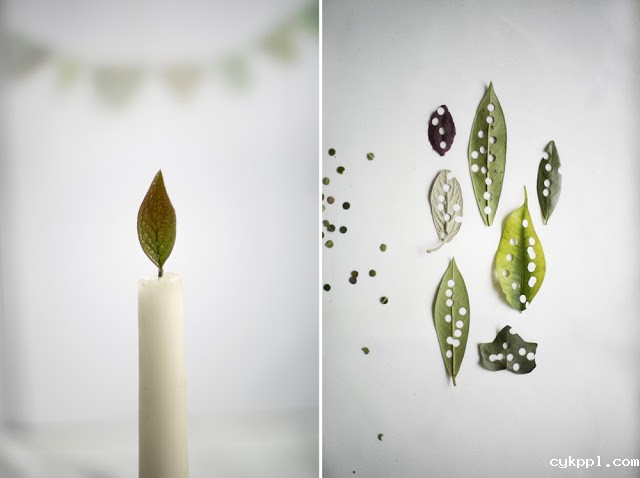 温柔的美食摄影