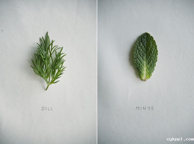 温柔的美食摄影