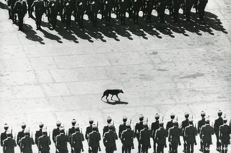 戏剧性的街头摄影