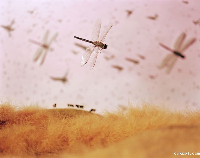 Lori Nix：堪萨斯州的灾难