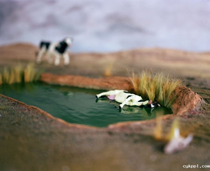 Lori Nix：堪萨斯州的灾难