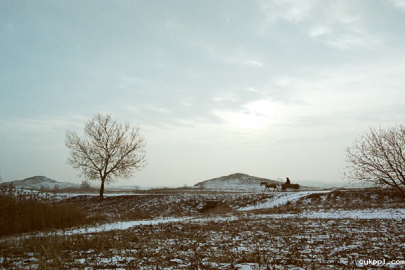 转型中的摩尔多瓦