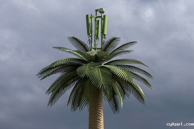 『纪实摄影』手机屏幕改变的世界